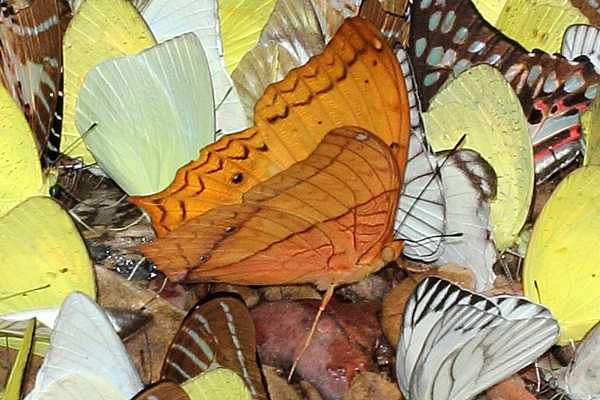 Image 400x300