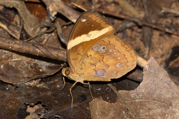 Image 400x300