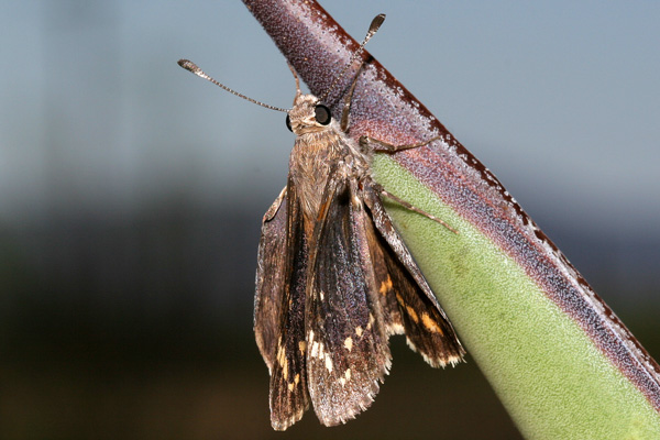Image 400x300