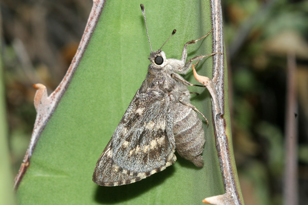 Image 400x300