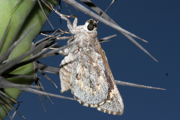 Image 400x300
