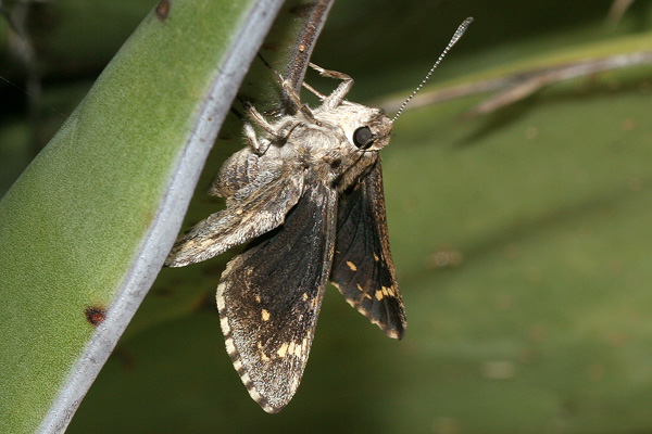 Image 400x300