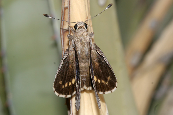 Image 400x300