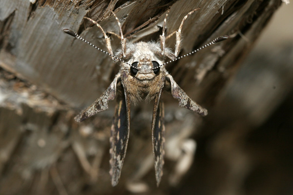 Image 400x300