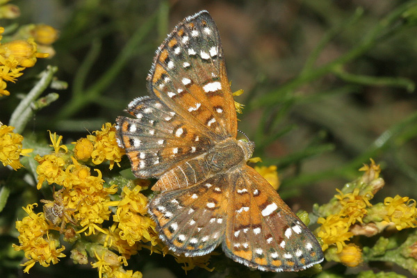 Image 400x300