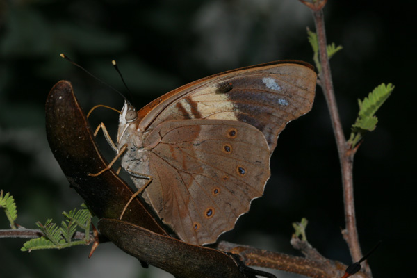 Image 400x300