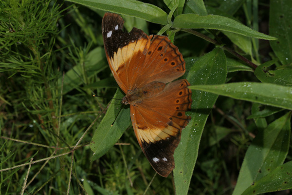Image 400x300