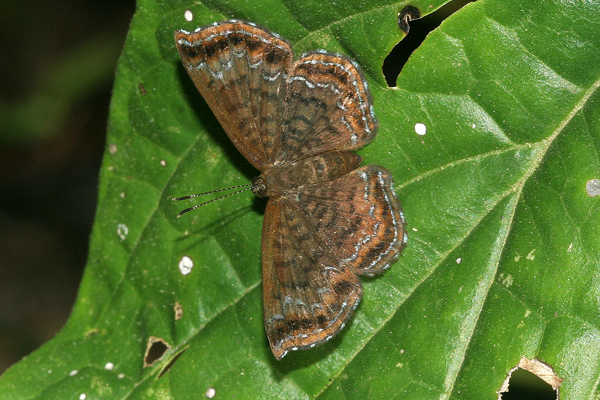 Image 400x300