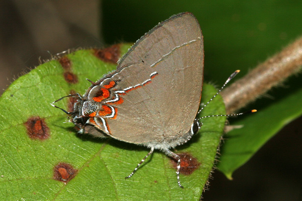 Image 400x300