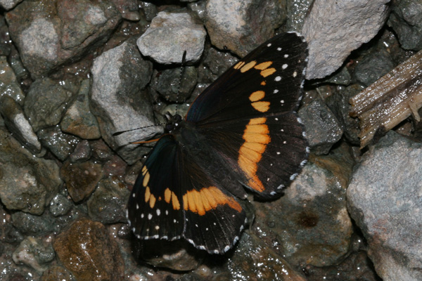 Image 400x300