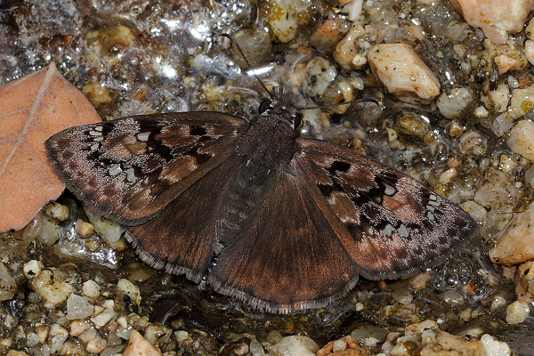 Image 400x300