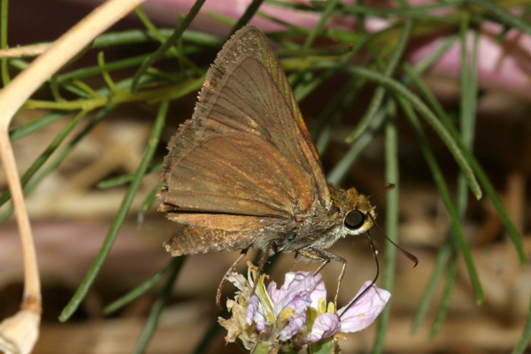 Image 400x300