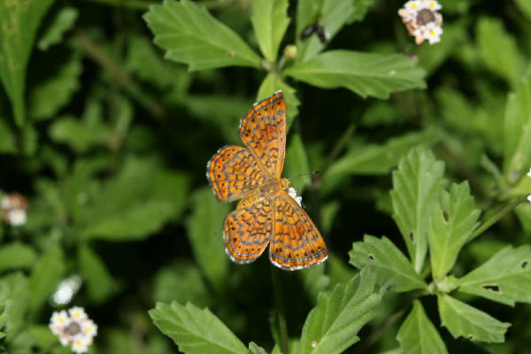 Image 400x300