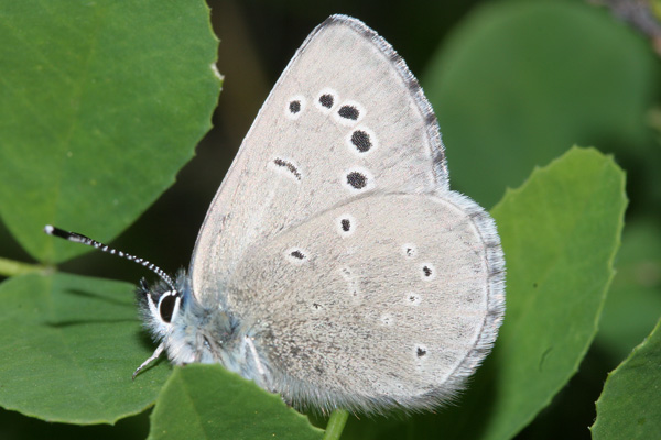 Image 400x300