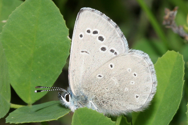 Image 400x300