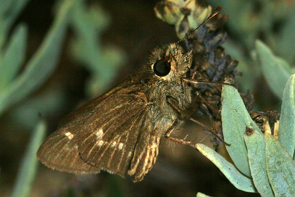 Image 400x300