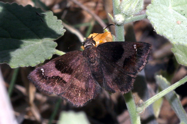 Image 400x300