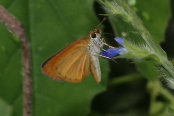 Image 400x300