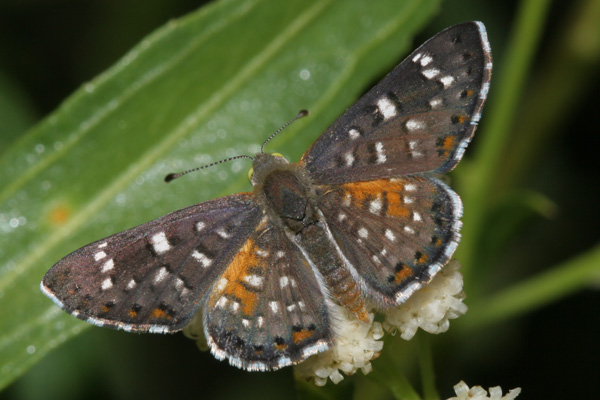 Image 400x300