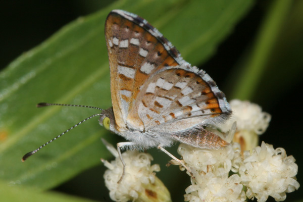 Image 400x300