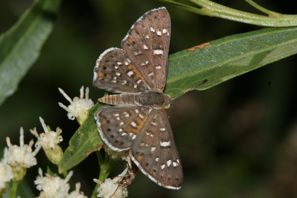 Image 400x300