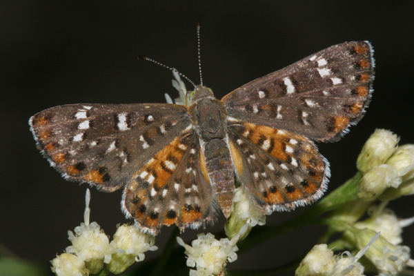 Image 400x300