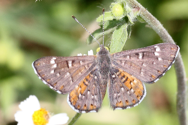 Image 400x300