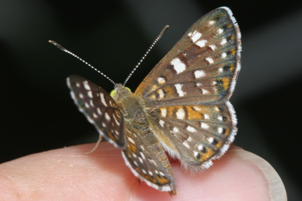 Image 400x300