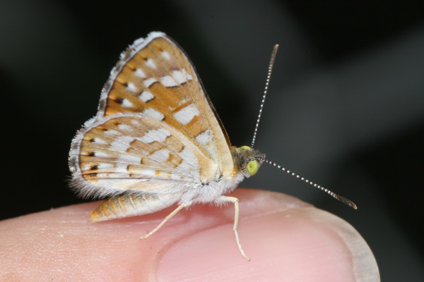Image 400x300