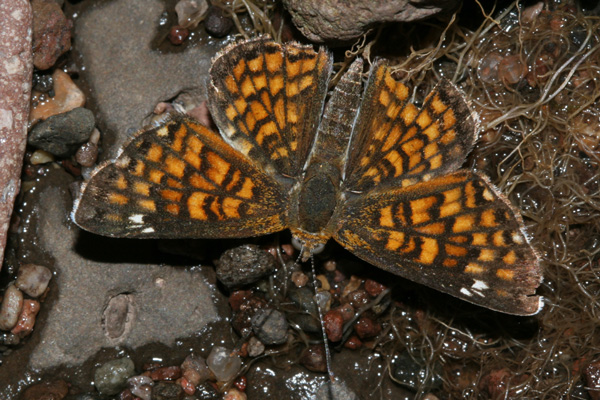 Image 400x300