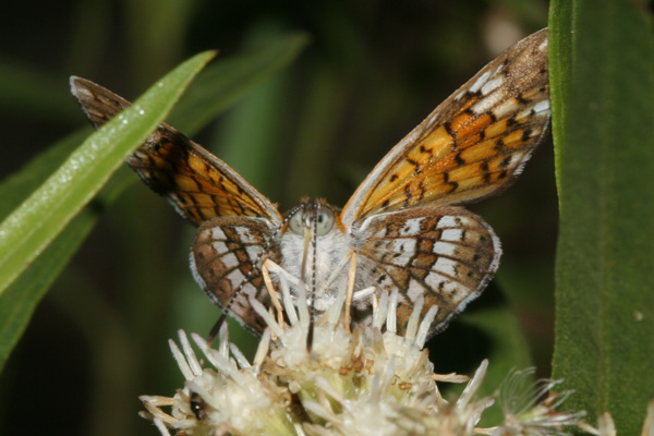Image 400x300