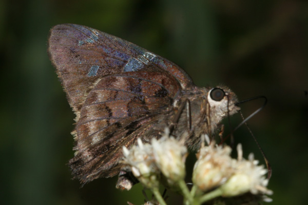 Image 400x300