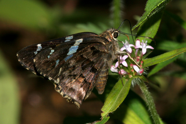 Image 400x300