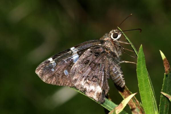 Image 400x300