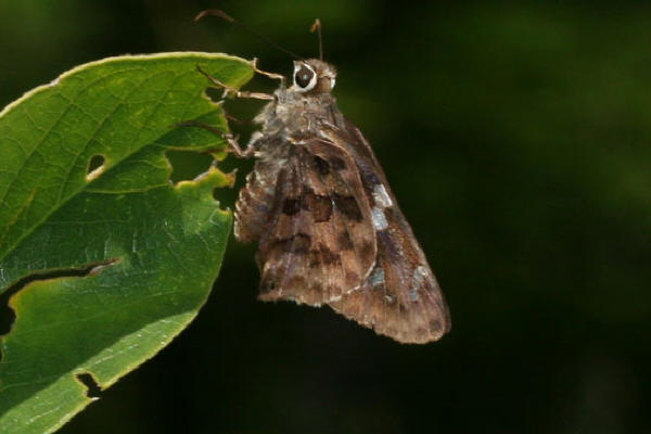 Image 400x300