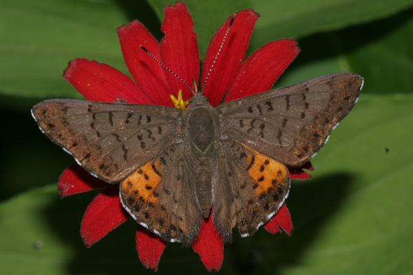 Image 400x300