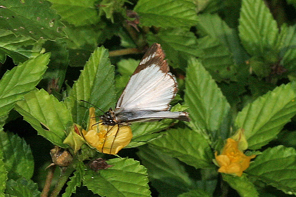 Image 400x300
