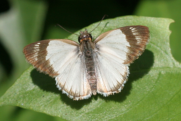 Image 400x300