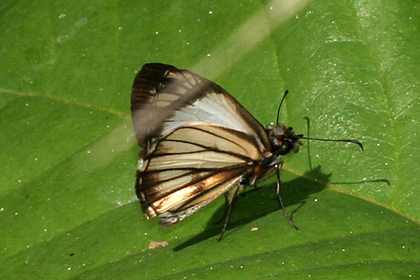 Image 400x300