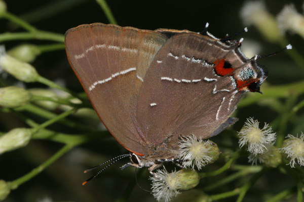 Image 400x300