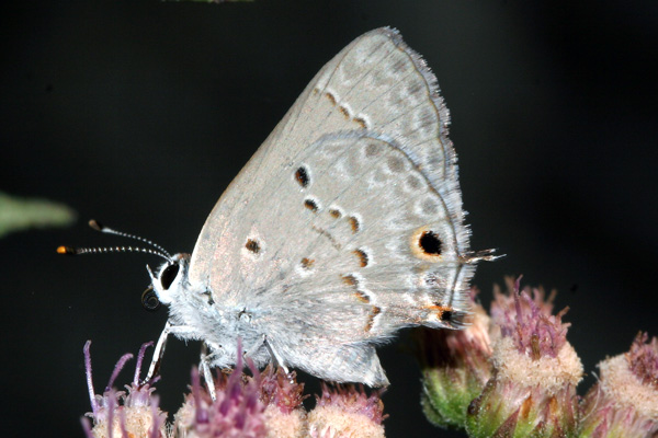 Image 400x300