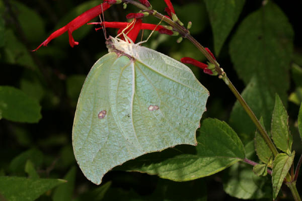 Image 400x300